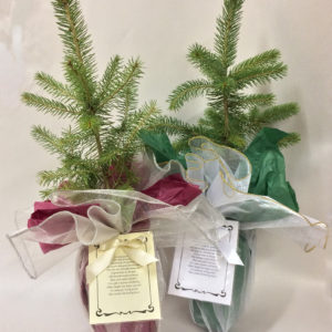 Gift Tree