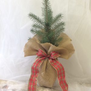 Small Holiday Tree