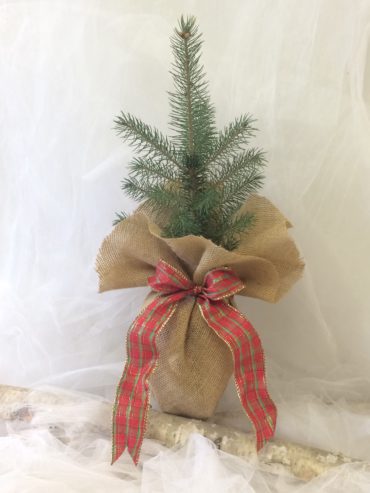 Small Holiday Tree