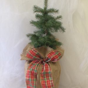 Large Holiday Tree