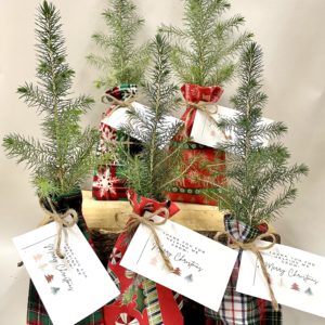 Christmas Eco Tree