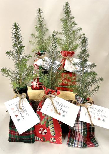 Christmas Gift Bundle